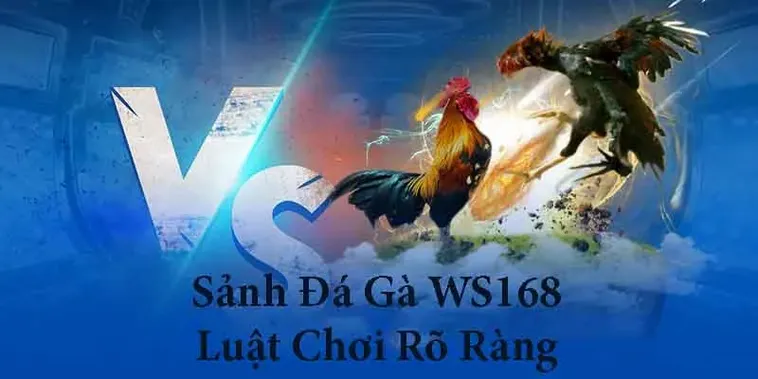 Chinh Phục Đá Gà WS168 Tại 58Win Hướng Dẫn Cách Chơi Cực Đỉnh